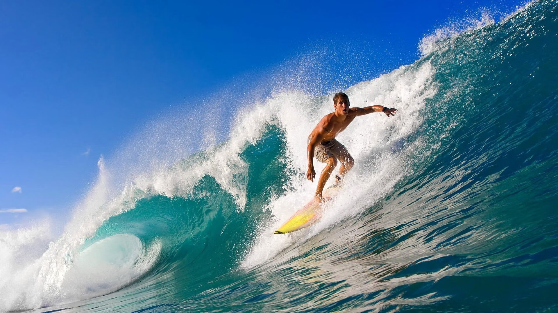 专业摄影捕捉高光时刻定格精彩瞬间激发更多观众情绪,好的摄影师捕捉瞬间