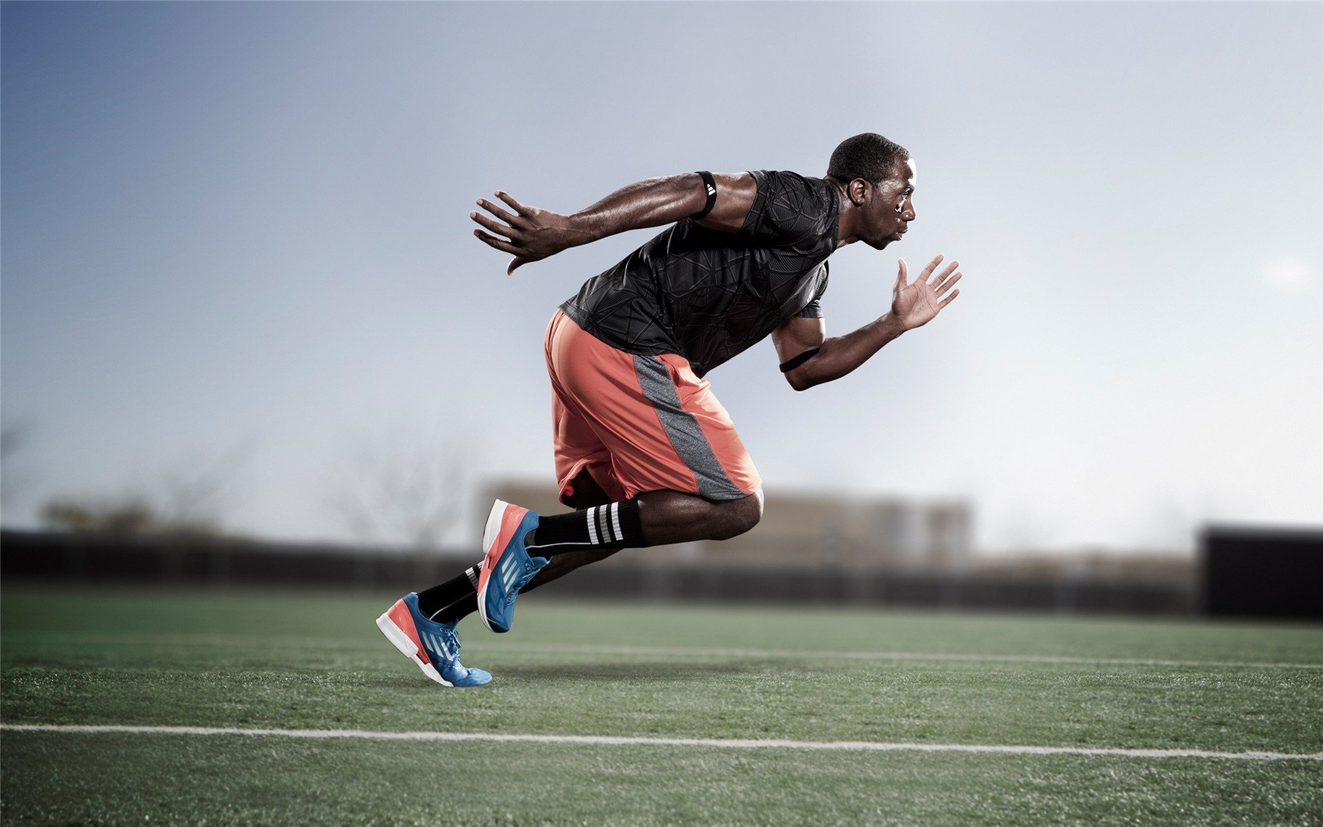 CBA成为中国篮球的成长摇篮，cba的发展